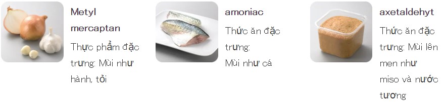 Khả Năng Khử Mùi Gấp 3 Lần Tủ Lạnh Thông Thường