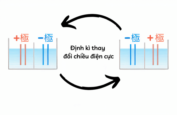 Máy Lọc Nước Ion Kiềm Trim Ion Cure